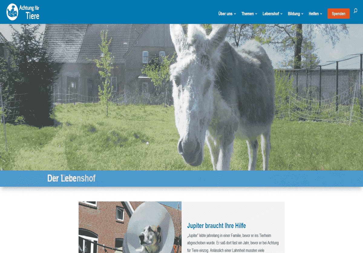 Achtung f&uuml;r Tiere e.V. F&uuml;r Freunde in Not