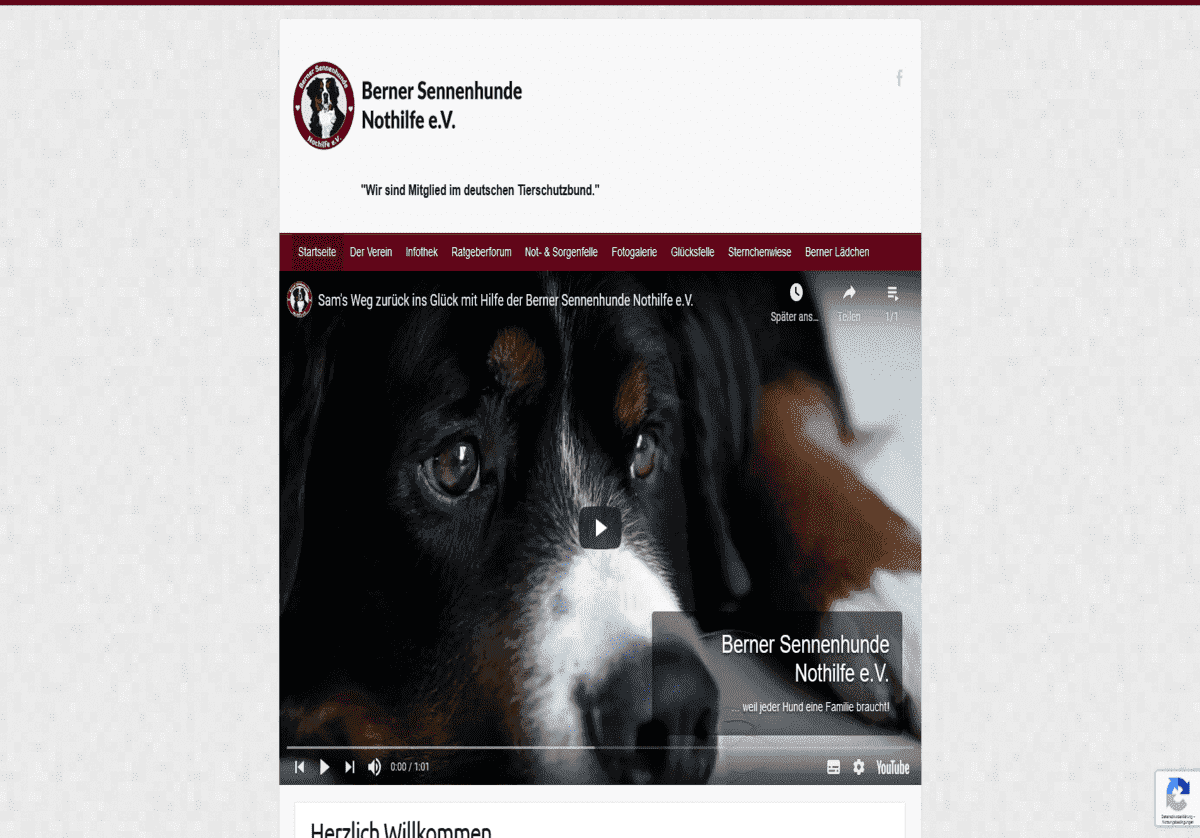 Berner Sennenhunde Nothilfe e.V.