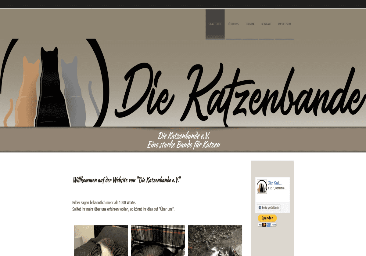 Die Katzenbande e.V.