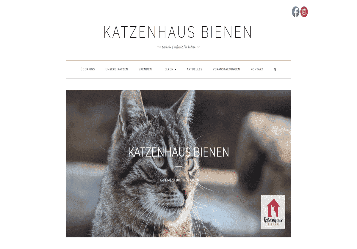 Katzenhaus Bienen