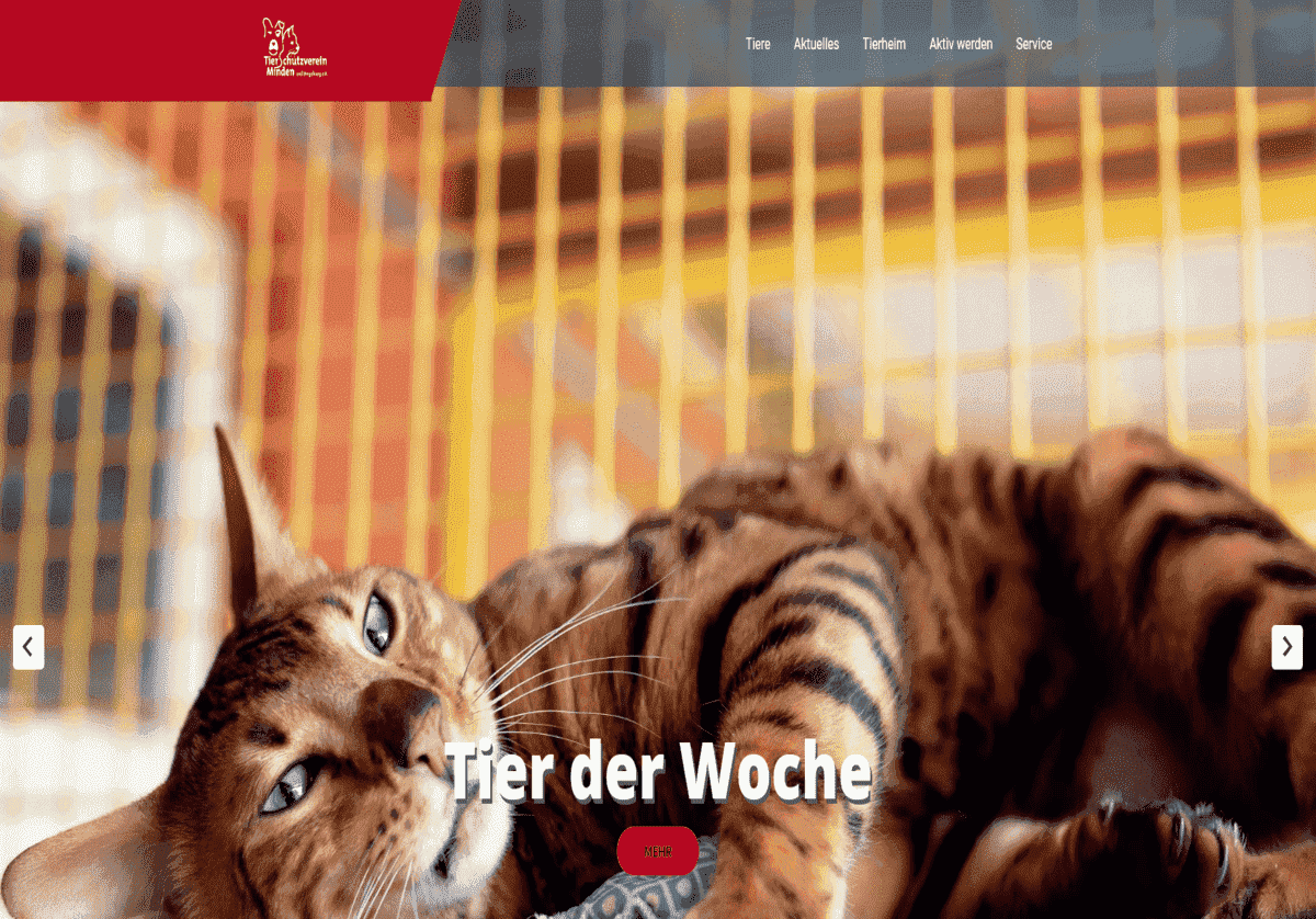 Tierheim Minden