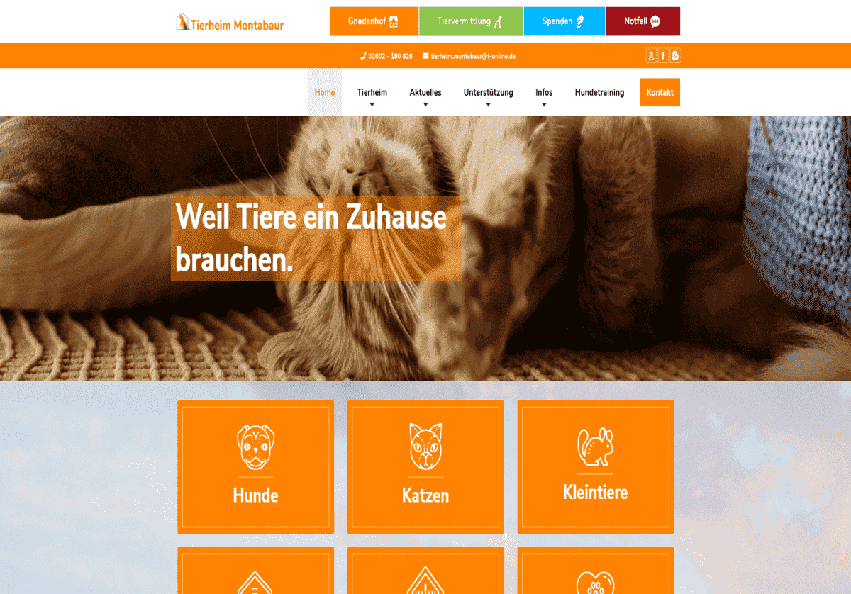 Tierheim Montabaur