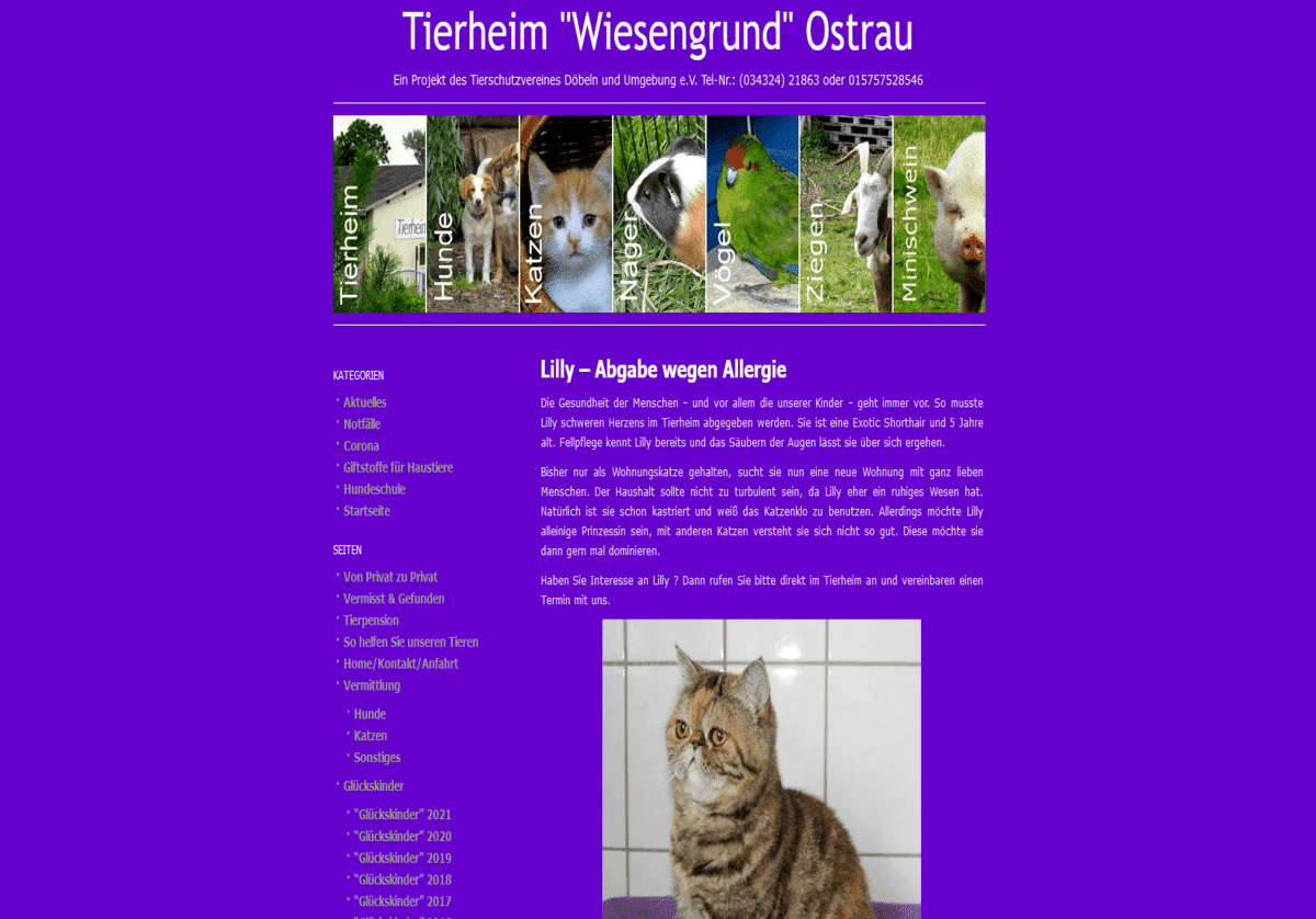 Tierschutzverein D&ouml;beln u.U. e.V.