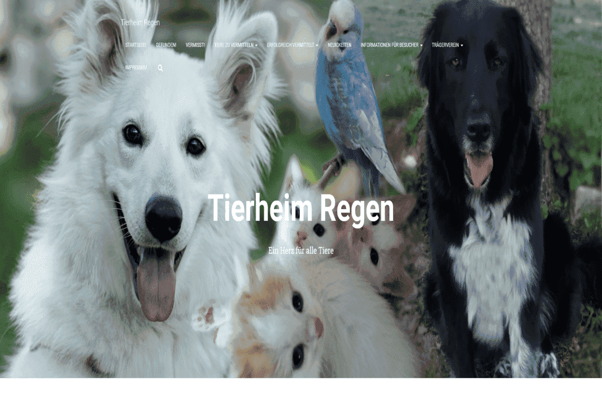 Tierheim Regen
