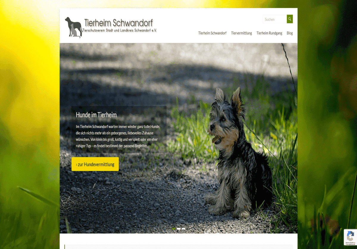 Tierheim Schwandorf