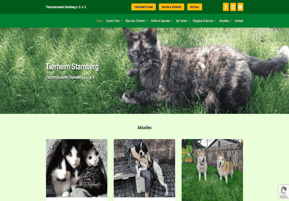 Tierheim Starnberg
