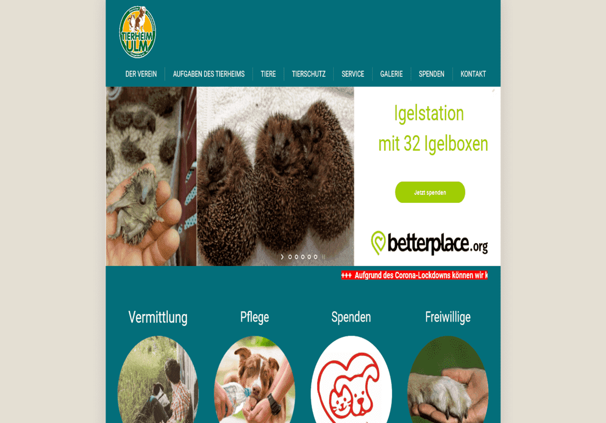 Tierschutzverein Ulm