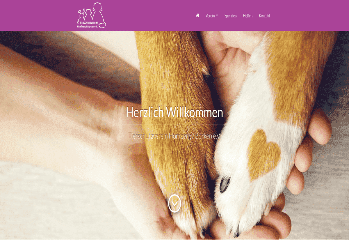 Tierschutzverein Homberg/Borken e.V.