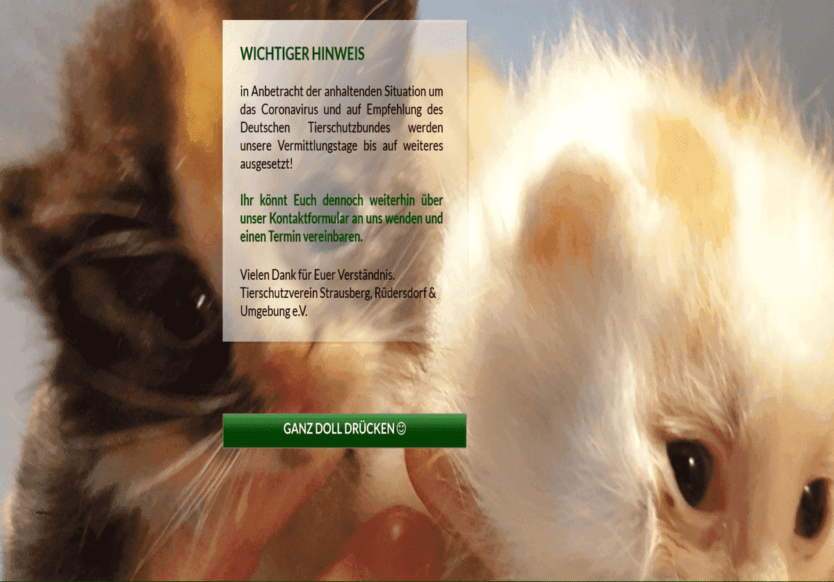 Tierschutzverein Strausberg, R&uuml;dersdorf u.U.e.V.