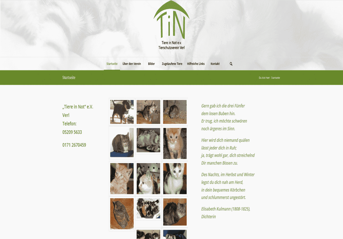 Tierschutzverein Tiere in Not e.V. Verl