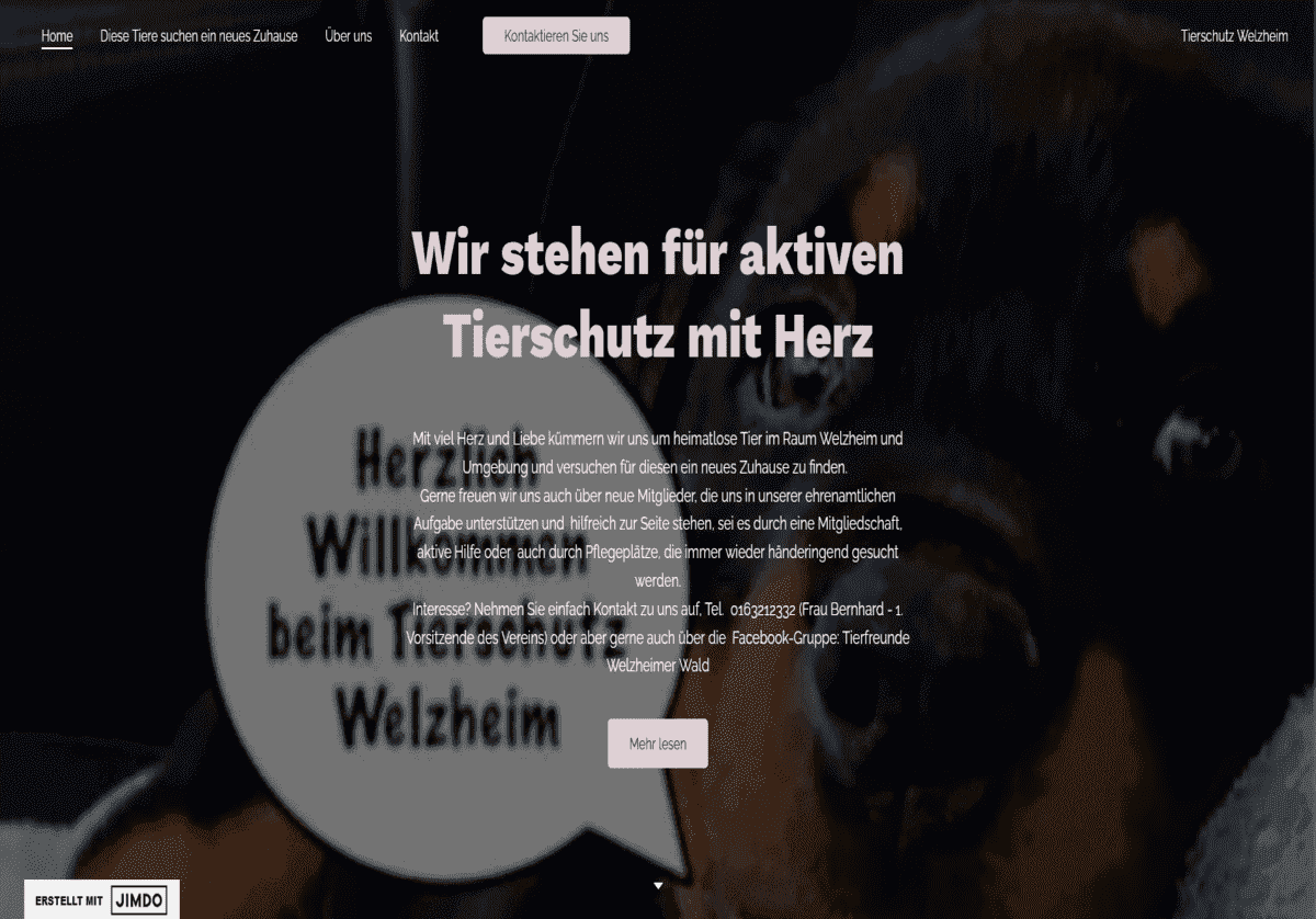 Tierschutzverein Welzheim u. U. e.V.
